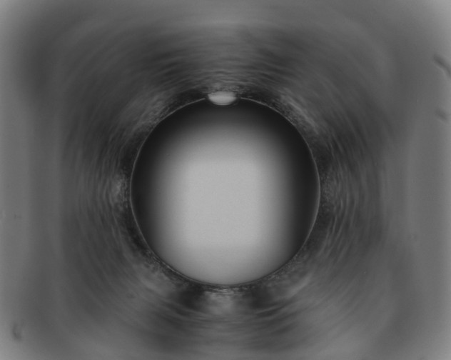 X0000091710079200708311125