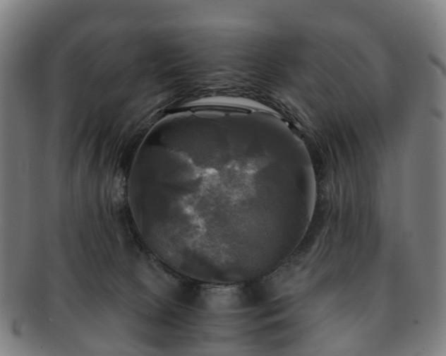 X0000091710081200708311125