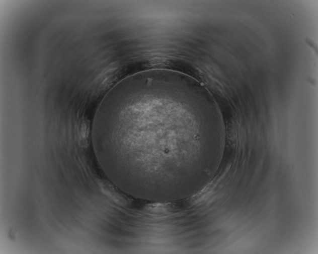 X0000091710082200708311125