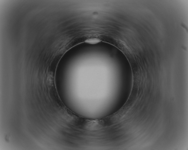 X0000091710083200708311125