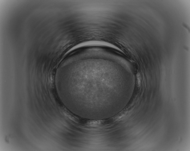 X0000091710084200708311125