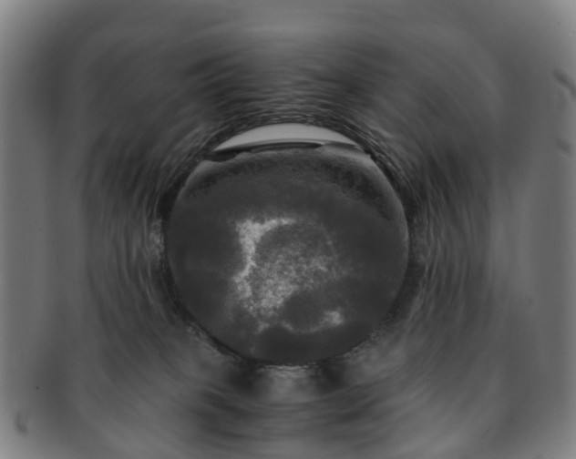 X0000091710085200708311125