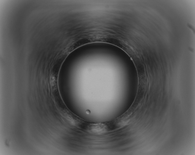 X0000091710087200708311125