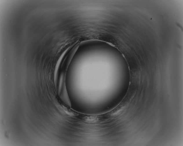 X0000091710088200708311125