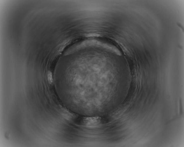 X0000091710089200708311125