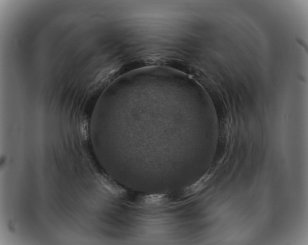 X0000091710090200708311125