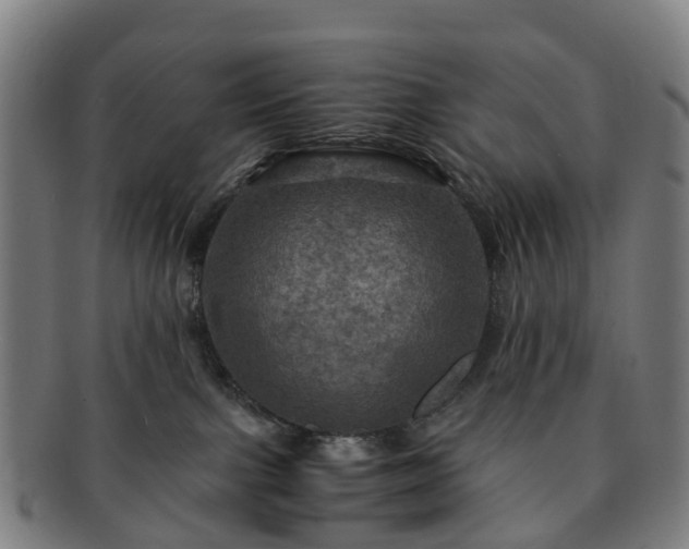 X0000091710091200708311125