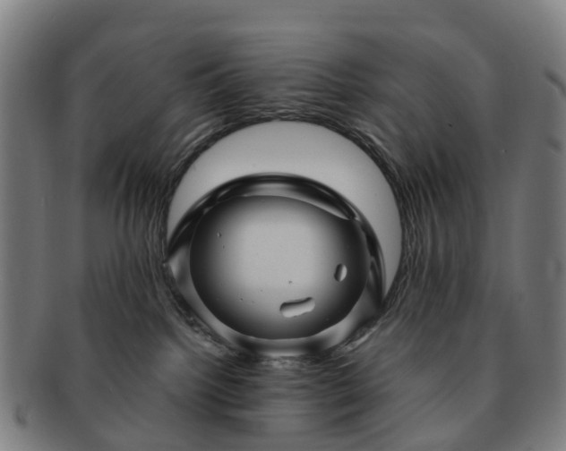 X0000091710092200708311125