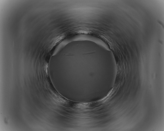 X0000091710094200708311125