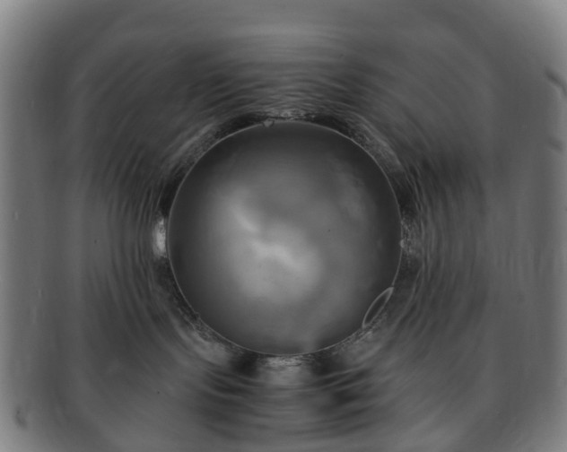 X0000091710095200708311125