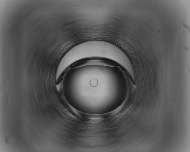 X0000091710096200708311125