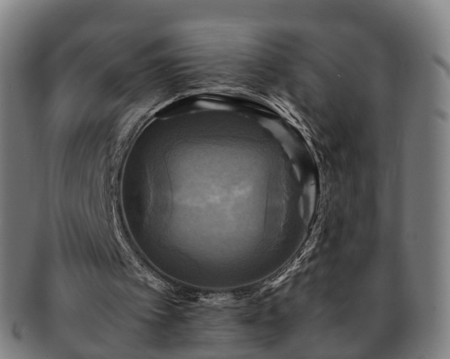 X0000091710097200708311124