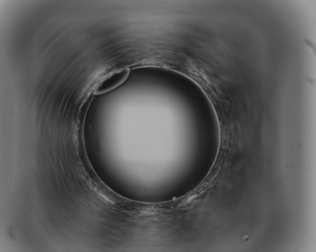 X0000091710098200708311124