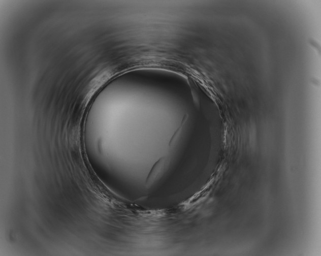 X0000091710099200708311124