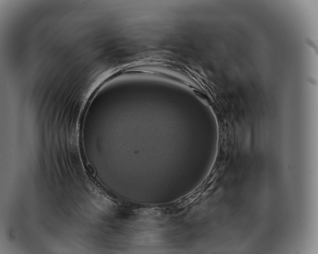 X0000091710100200708311124