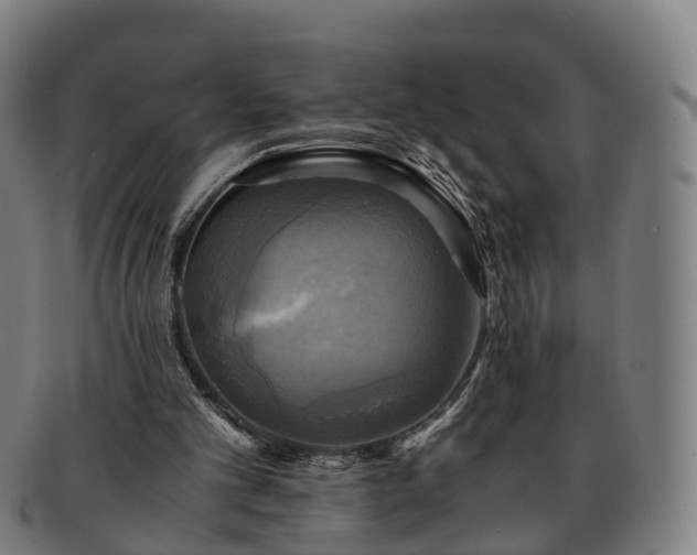 X0000091710101200708311124