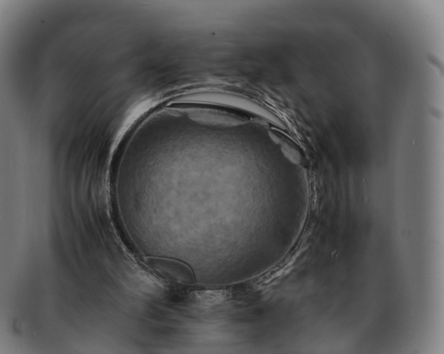 X0000091710102200708311124