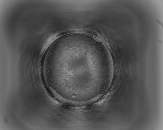 X0000091710103200708311124