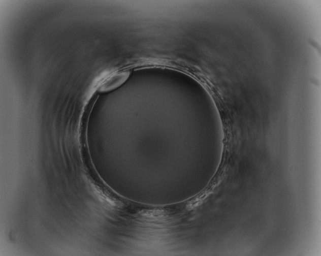 X0000091710104200708311124