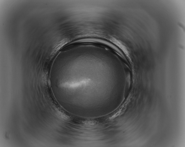 X0000091710105200708311124