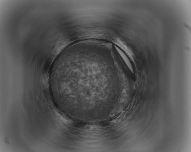 X0000091710107200708311124