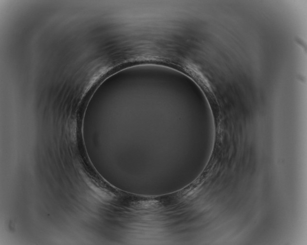 X0000091710108200708311124