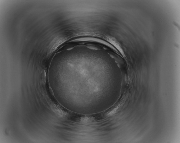 X0000091710109200708311124