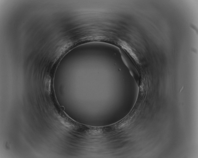 X0000091710110200708311124