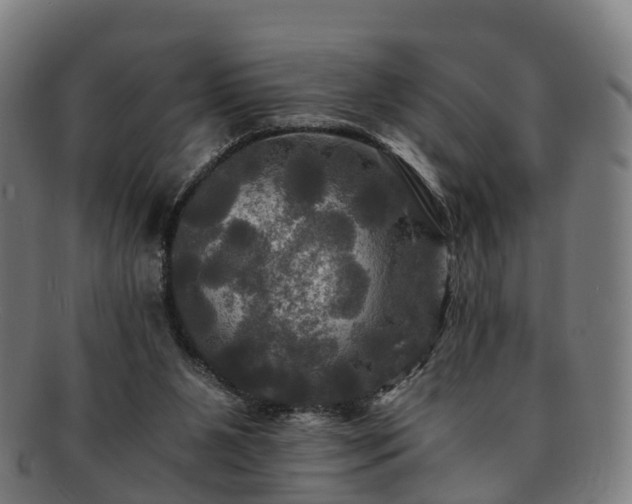 X0000091710111200708311124