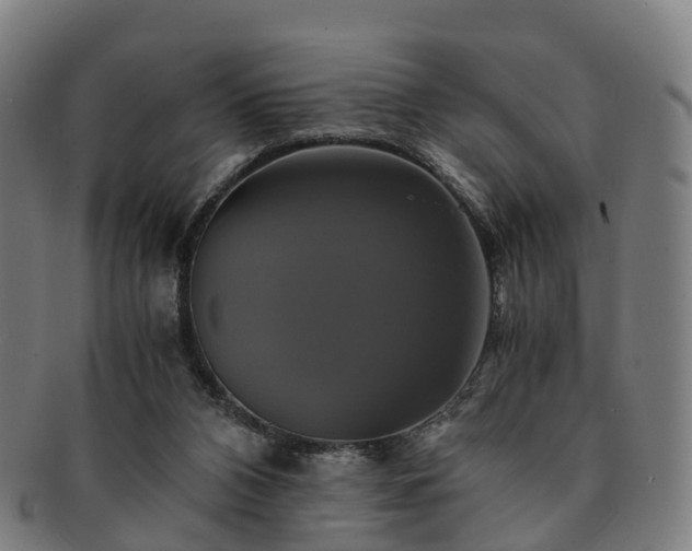 X0000091710112200708311124