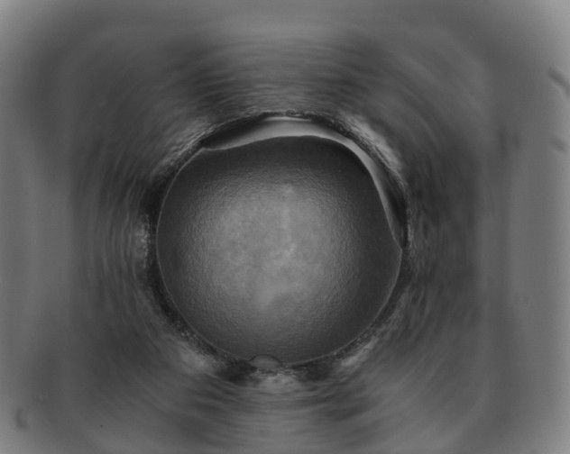 X0000091710113200708311124