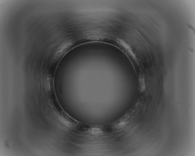 X0000091710114200708311124