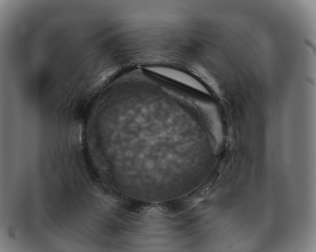 X0000091710115200708311124