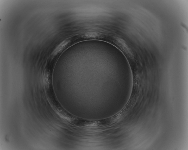 X0000091710116200708311124