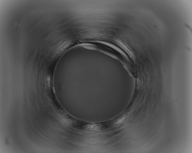 X0000091710117200708311124