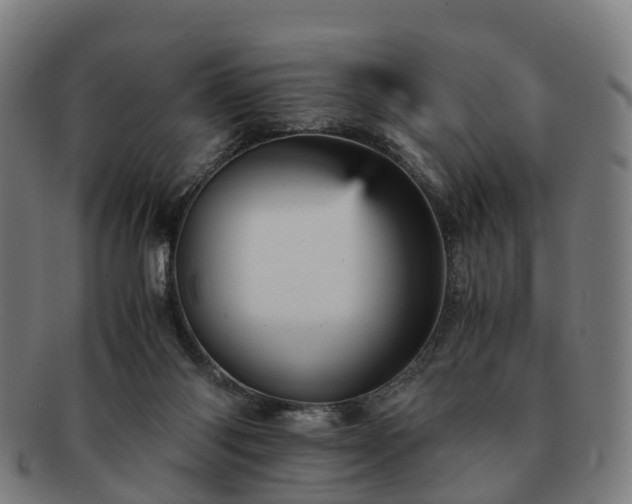 X0000091710118200708311124