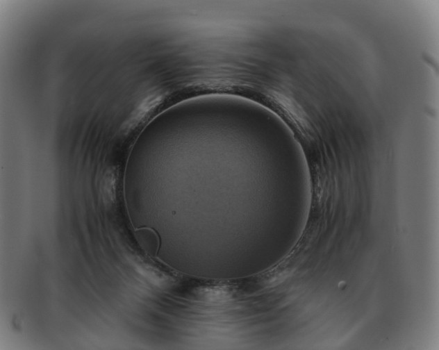 X0000091710120200708311124