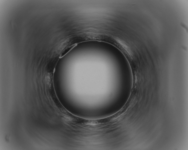 X0000091710121200708311124