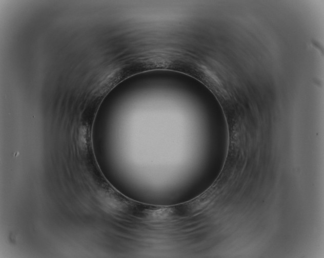 X0000091710122200708311124