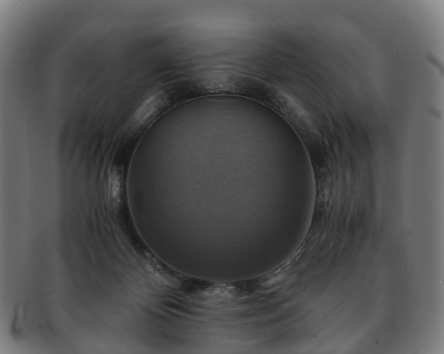 X0000091710124200708311124