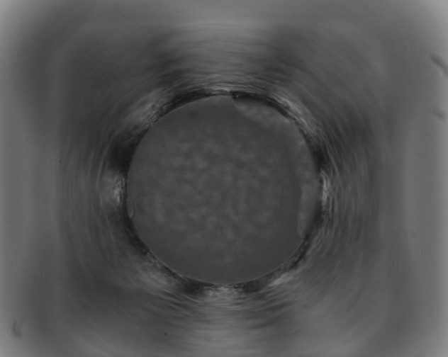 X0000091710125200708311124