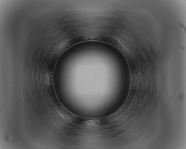 X0000091710126200708311124