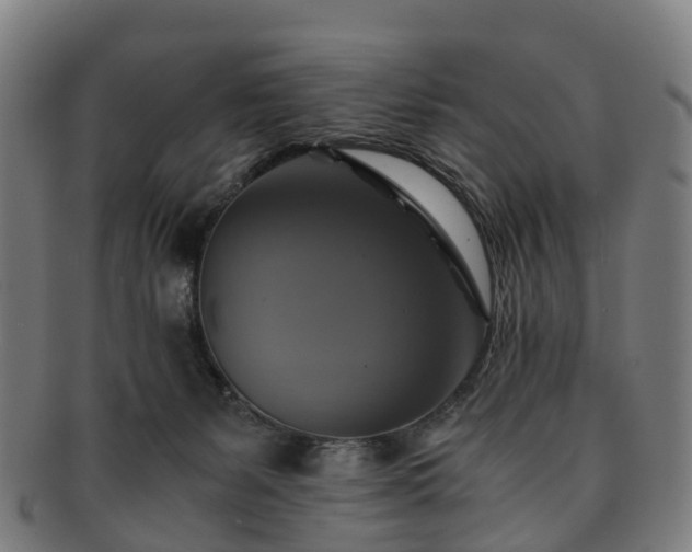 X0000091710127200708311124