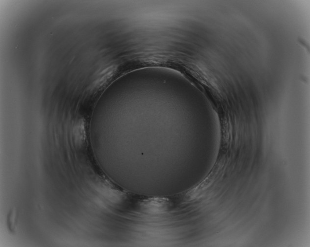 X0000091710128200708311124