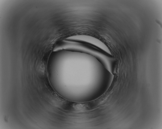 X0000091710129200708311124