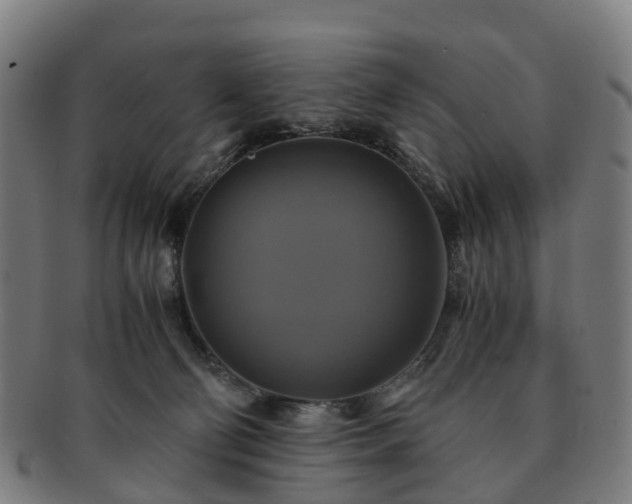 X0000091710130200708311124