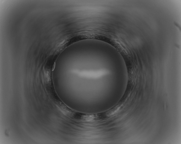 X0000091710131200708311124