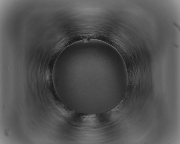 X0000091710132200708311124