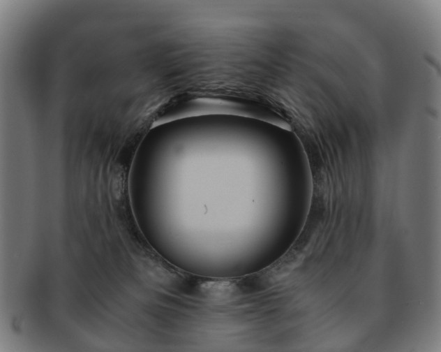 X0000091710133200708311124