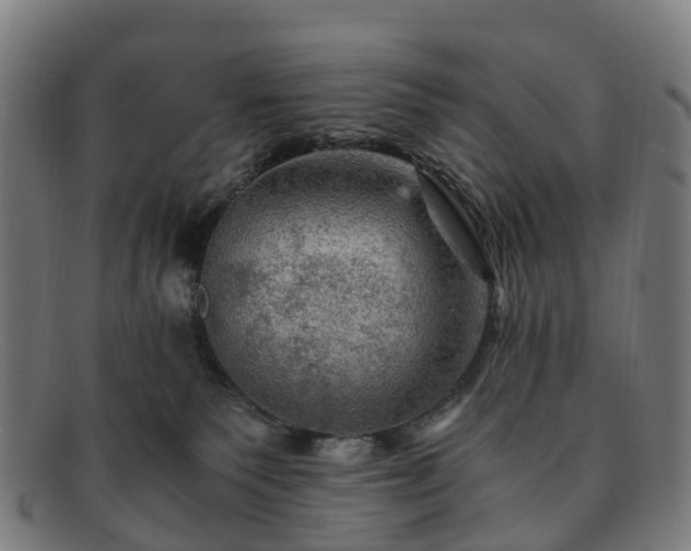 X0000091710135200708311124